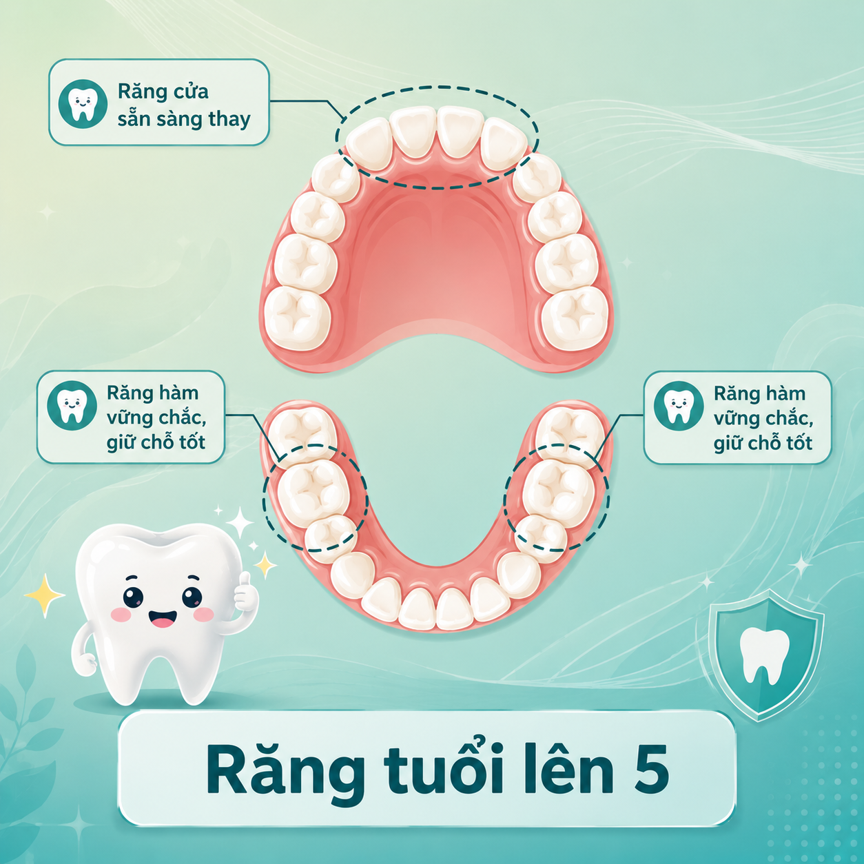 dac-diem-rang-sua-cua-tre-5-tuoi