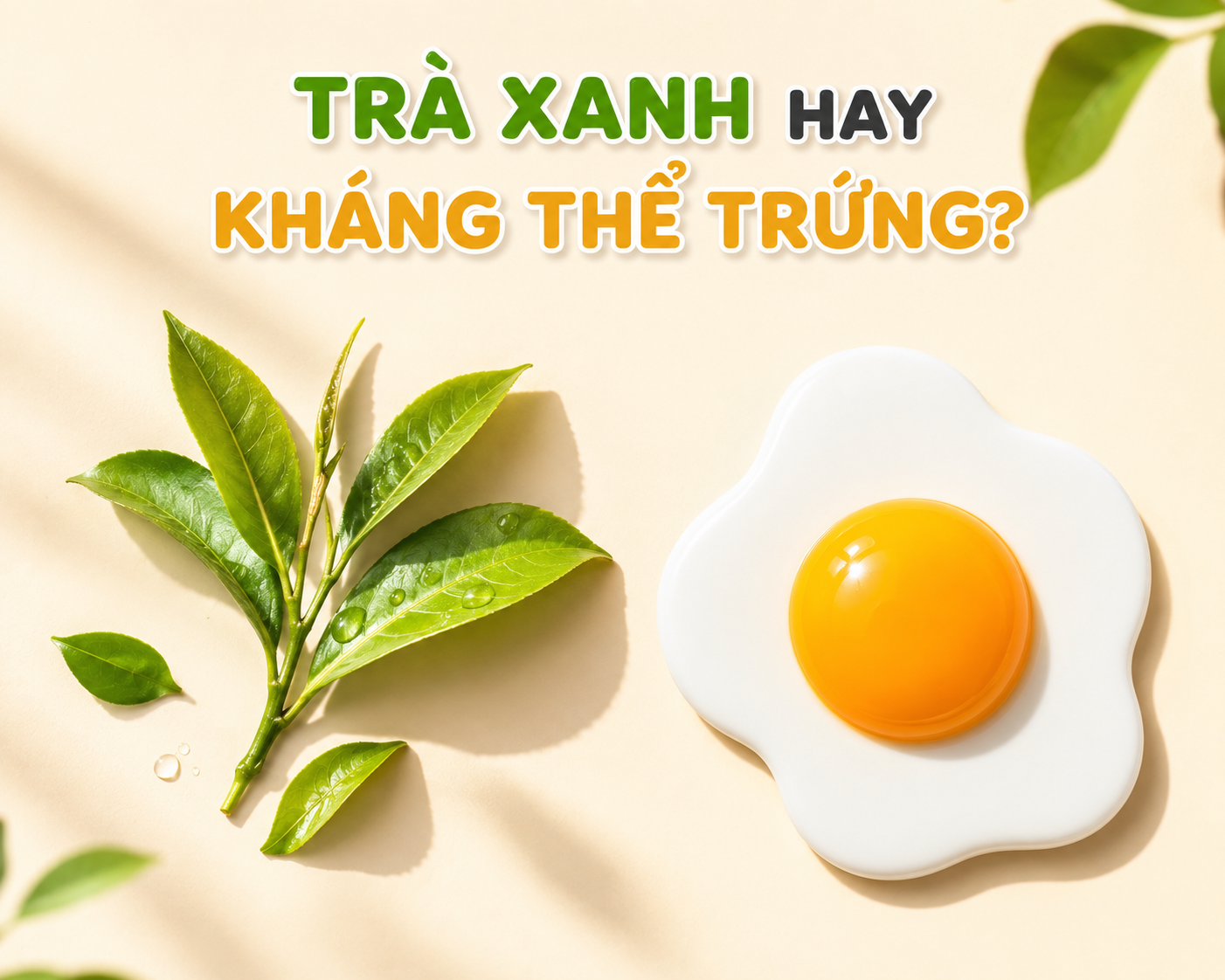 tra-xanh-hay-khang-the-ovopron-dc